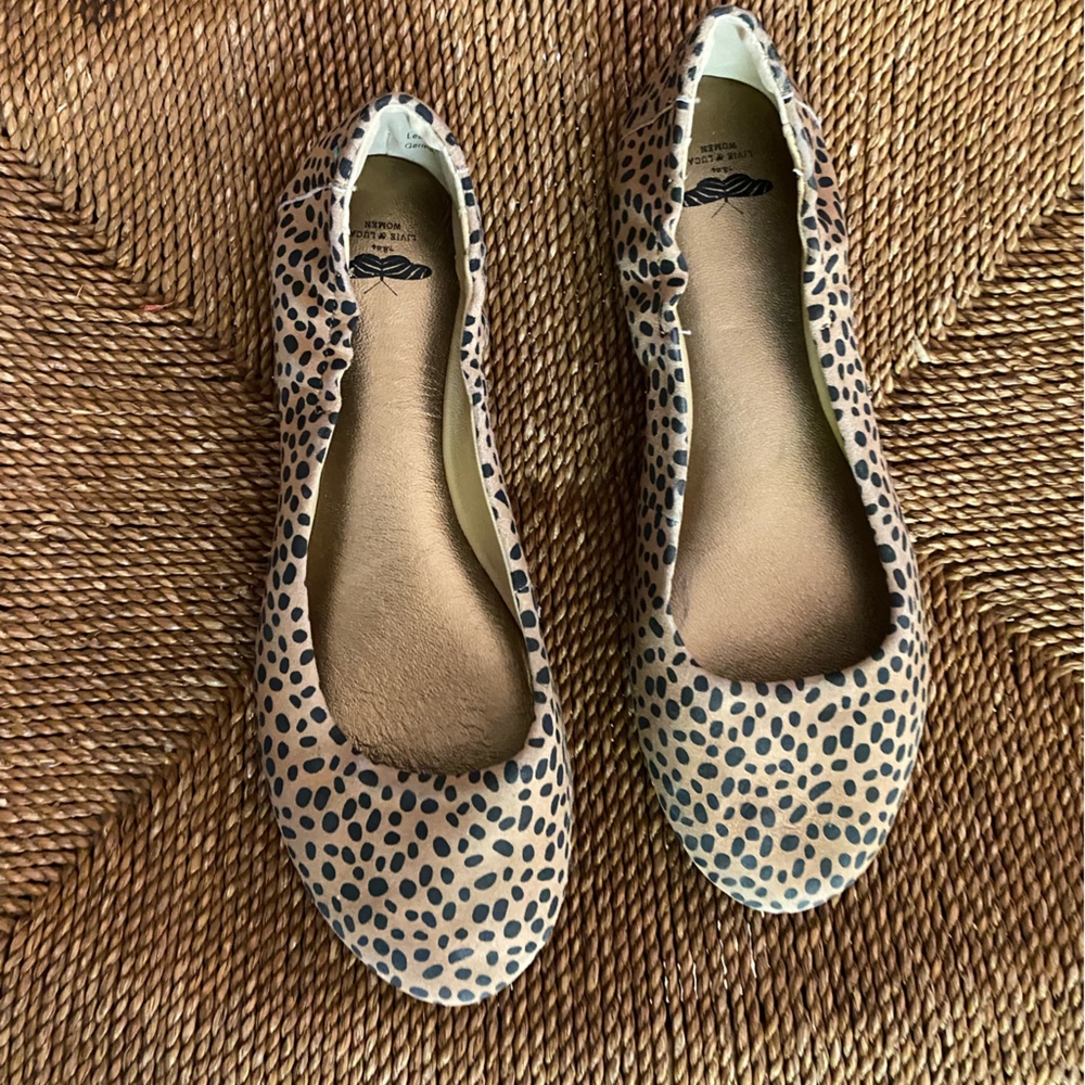 Brand New Ballet Flats Livie and Luca Women’s size 8